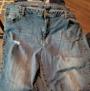 Lane Bryant 24 Boyfriend Jeans